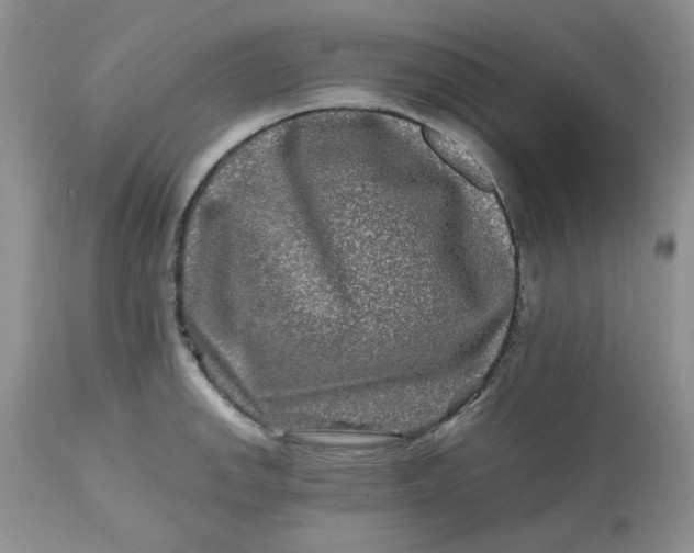 X0000112801142200909111230