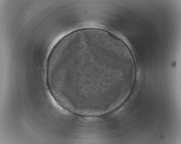 X0000112801144200909111230