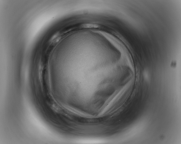 X0000112801151200909111230