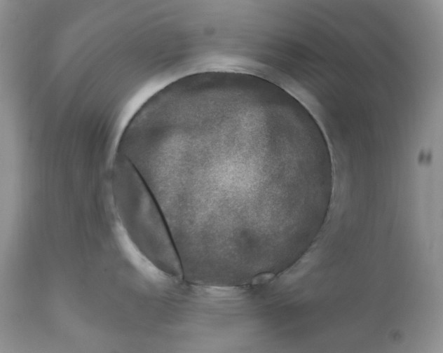 X0000112801152200909111230