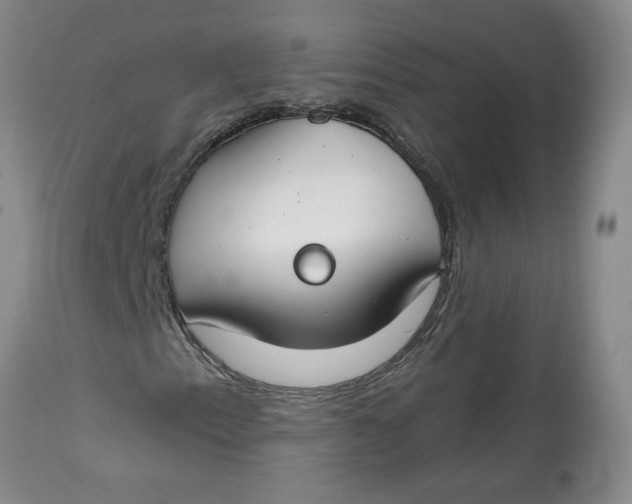 X0000112801153200909111229