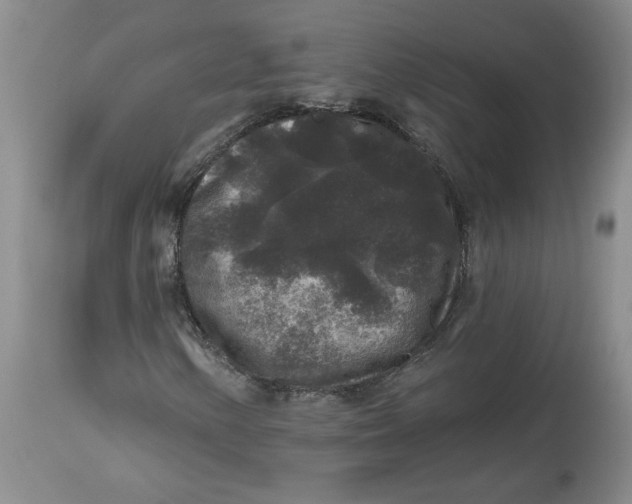 X0000112801154200909111229