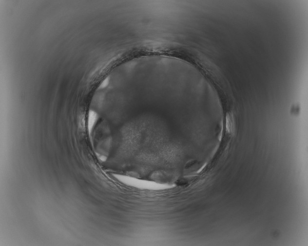 X0000112801155200909111229