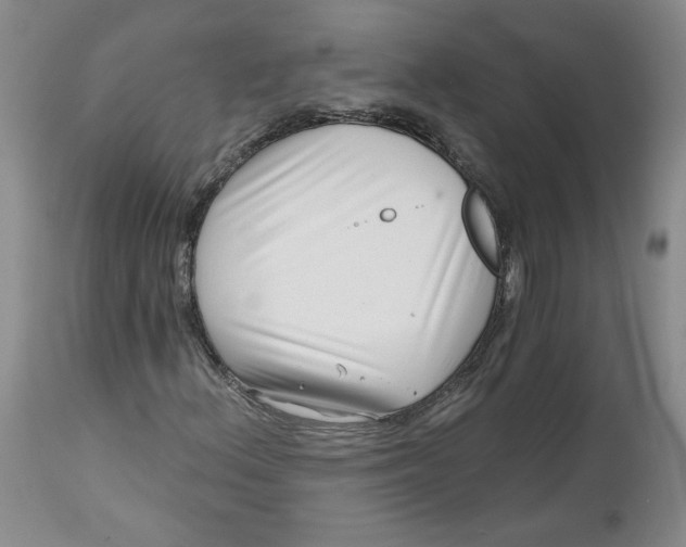 X0000112801156200909111229