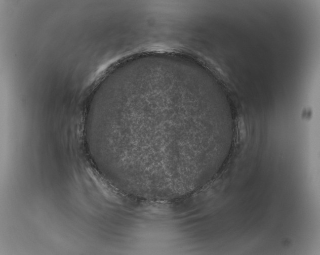 X0000112801158200909111229