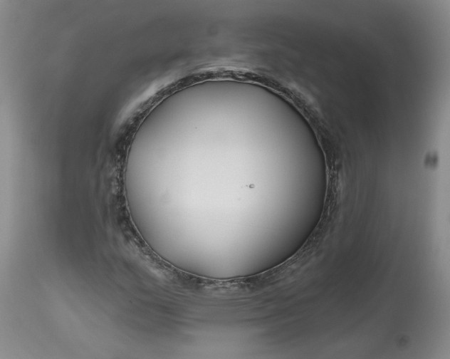 X0000112801159200909111229