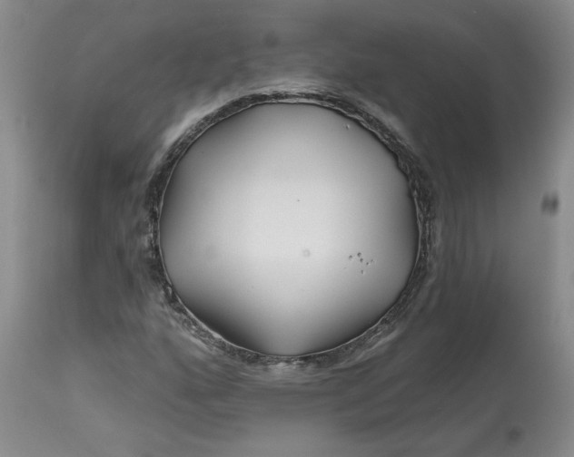 X0000112801160200909111229