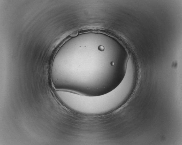 X0000112801162200909111229