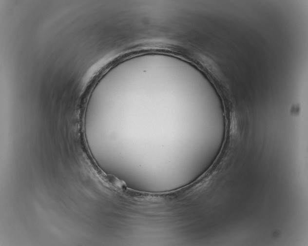 X0000112801164200909111229