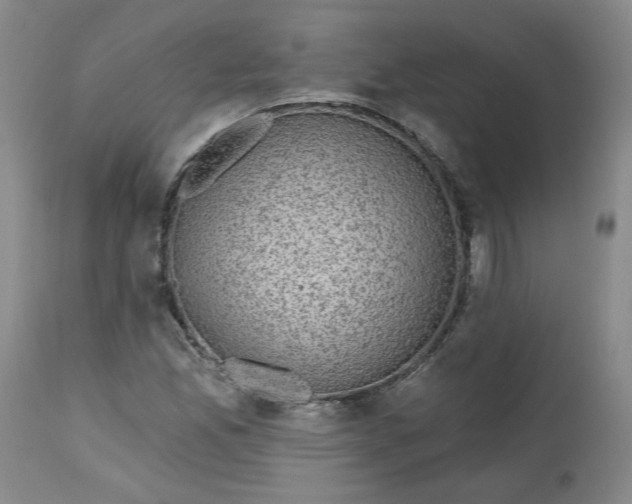 X0000112801165200909111229