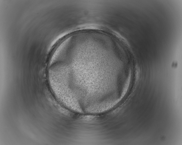 X0000112801166200909111229