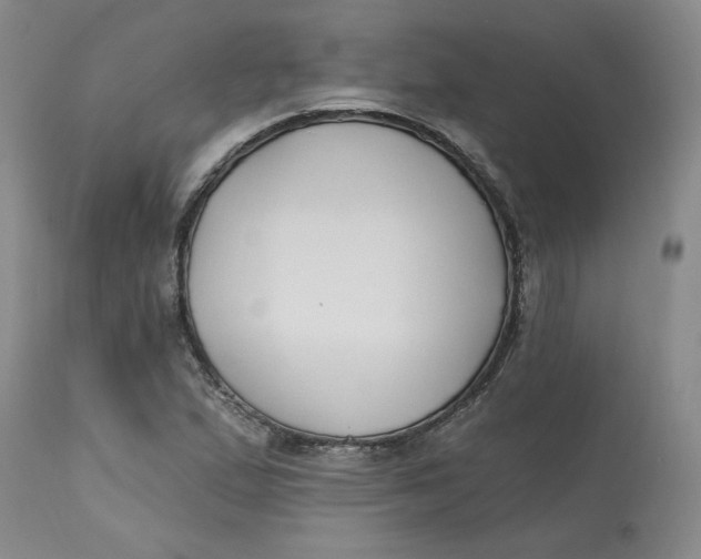 X0000112801167200909111229