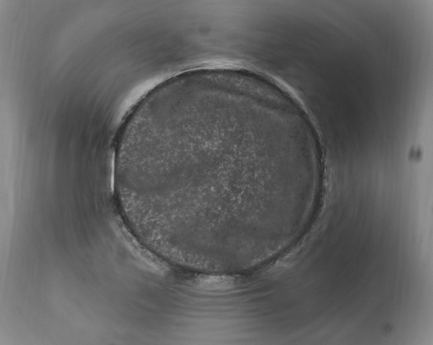 X0000112801171200909111229