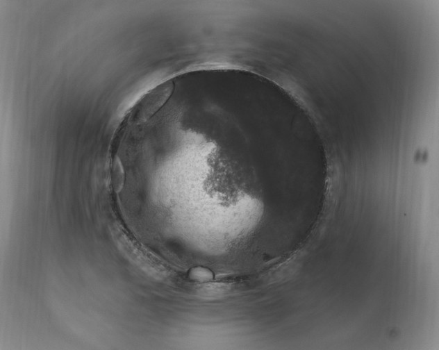 X0000112801173200909111229