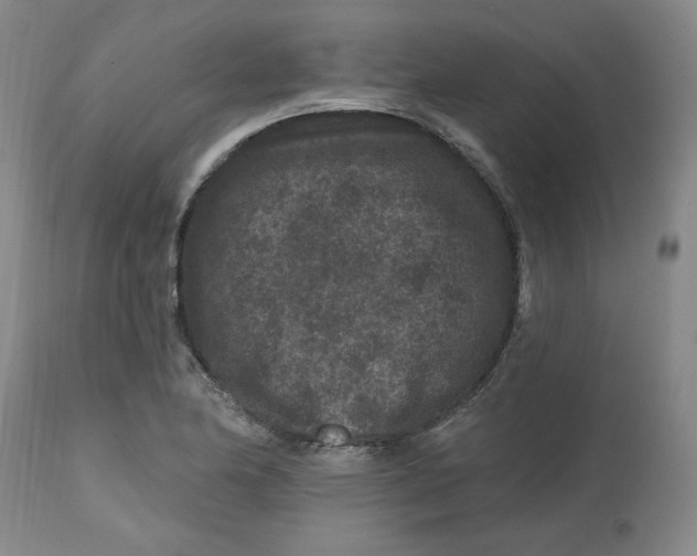 X0000112801174200909111229