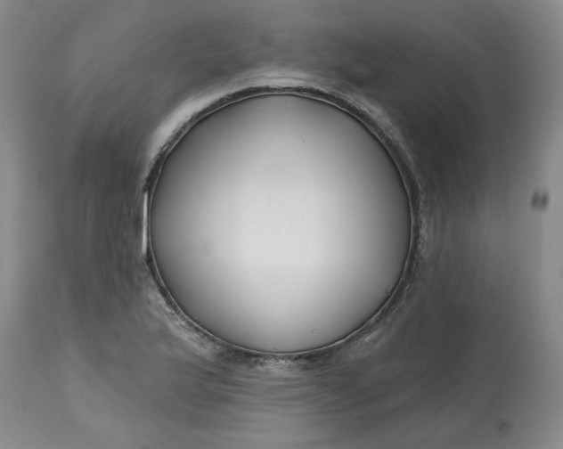 X0000112801175200909111229