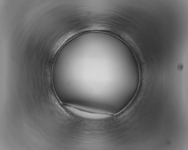 X0000112801177200909111229