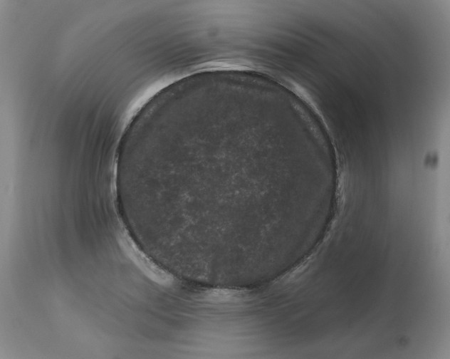 X0000112801179200909111229