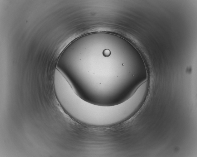 X0000112801185200909111228