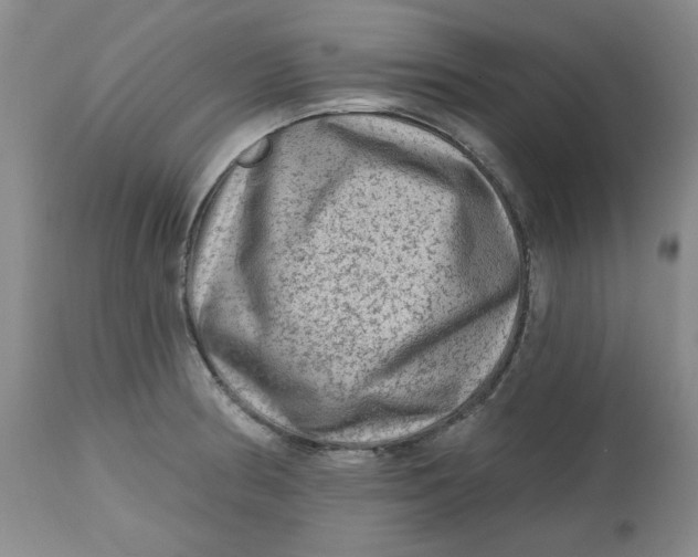 X0000112801186200909111228