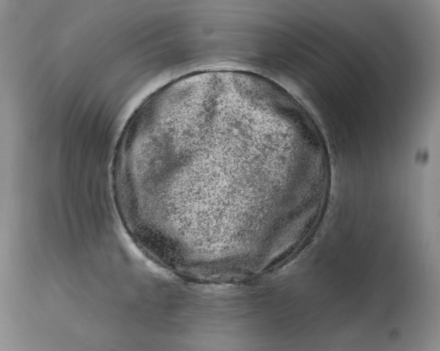 X0000112801189200909111228