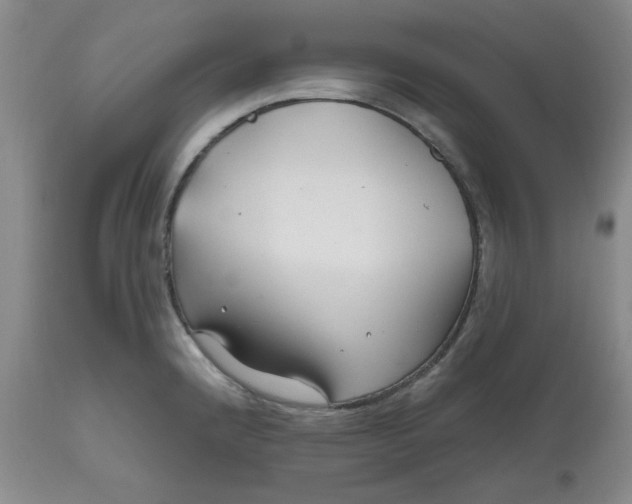 X0000112801192200909111228