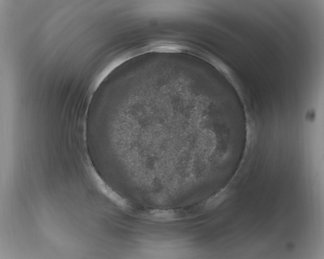 X0000112801194200909111228