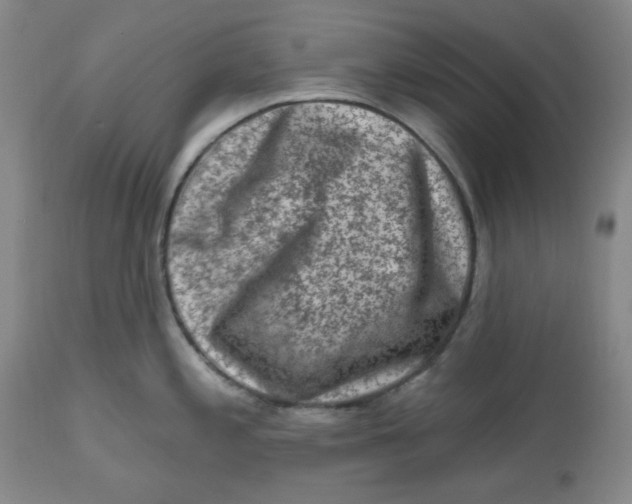 X0000112801197200909111228