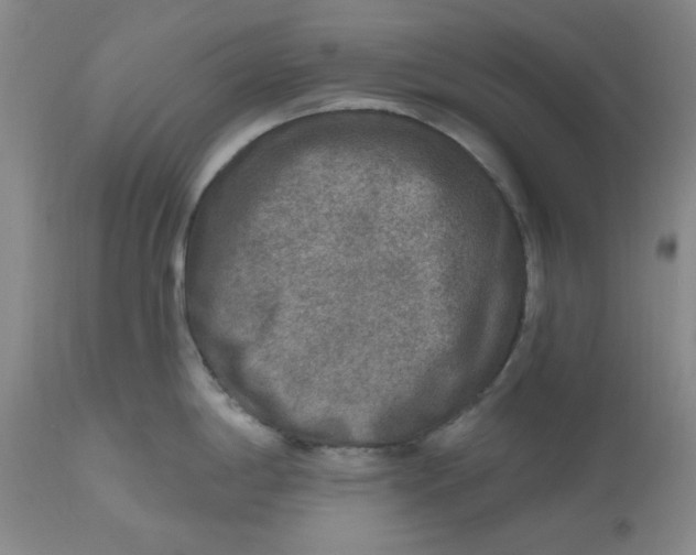 X0000112801198200909111228