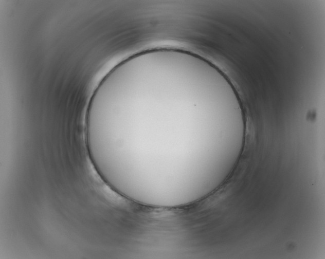 X0000112801199200909111228