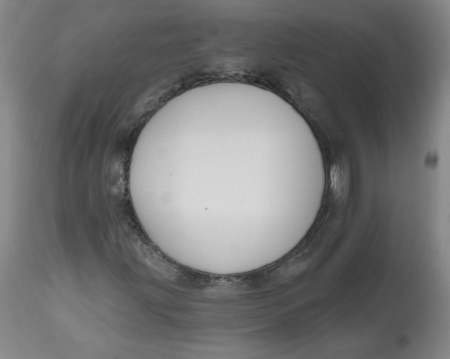 X0000112801203200909111228