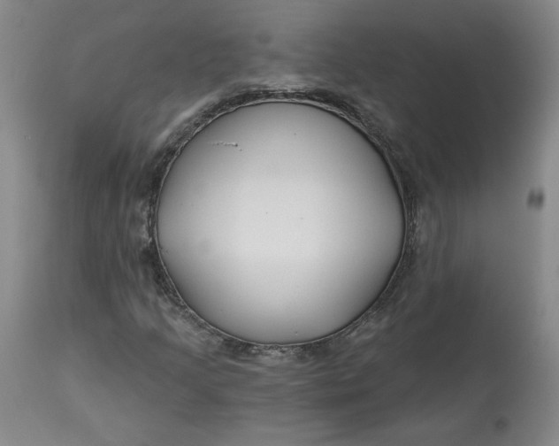 X0000112801205200909111228