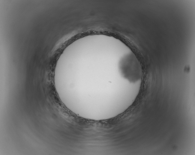 X0000112801207200909111228