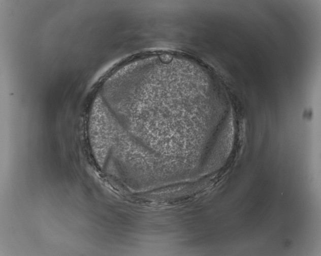 X0000112801208200909111228