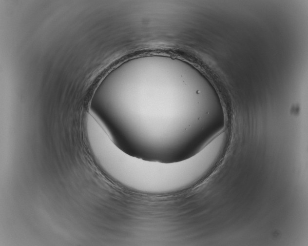 X0000112801209200909111228