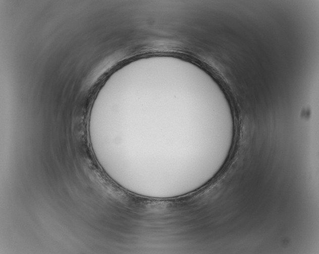 X0000112801211200909111228