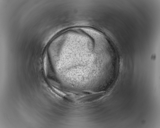 X0000112801212200909111228