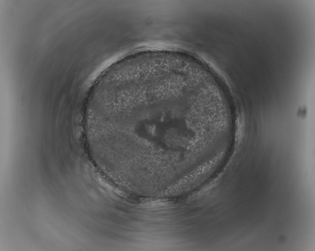 X0000112801213200909111228