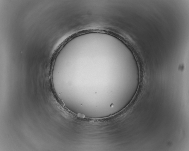 X0000112801216200909111228