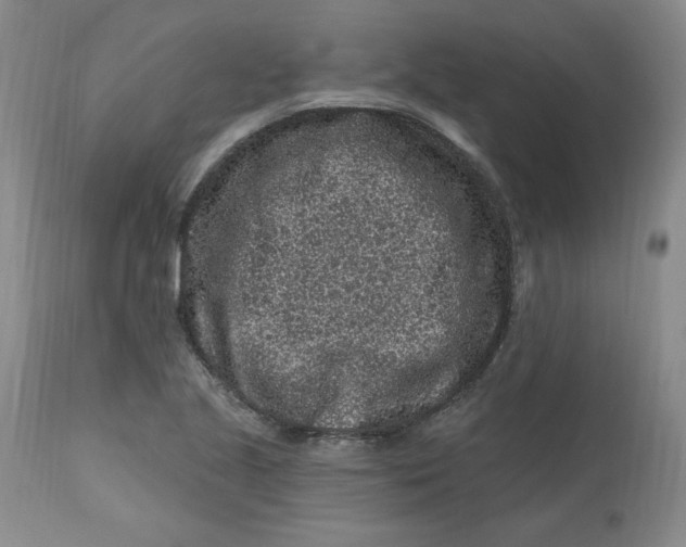 X0000112801221200909111228