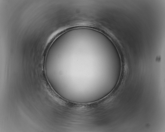 X0000112801222200909111228