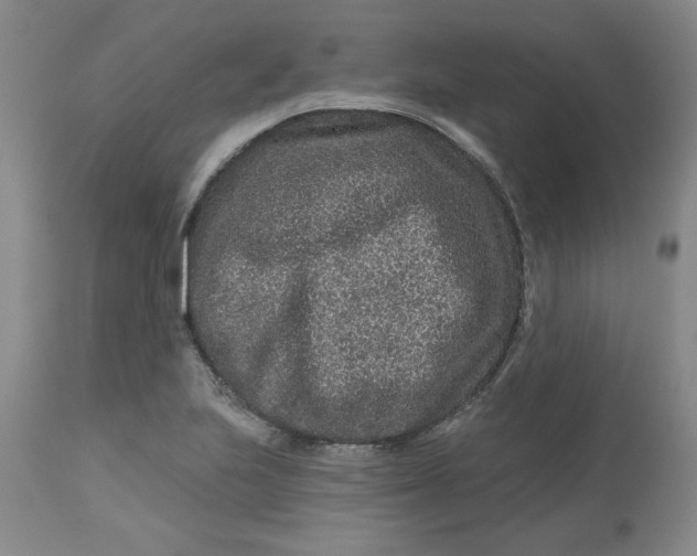 X0000112801223200909111228