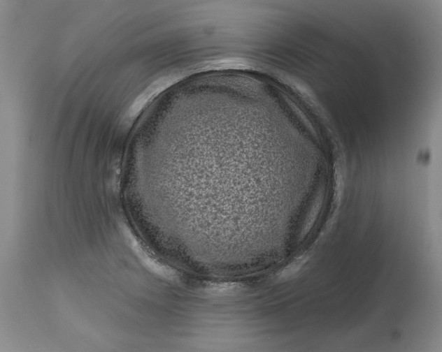 X0000112801225200909111228