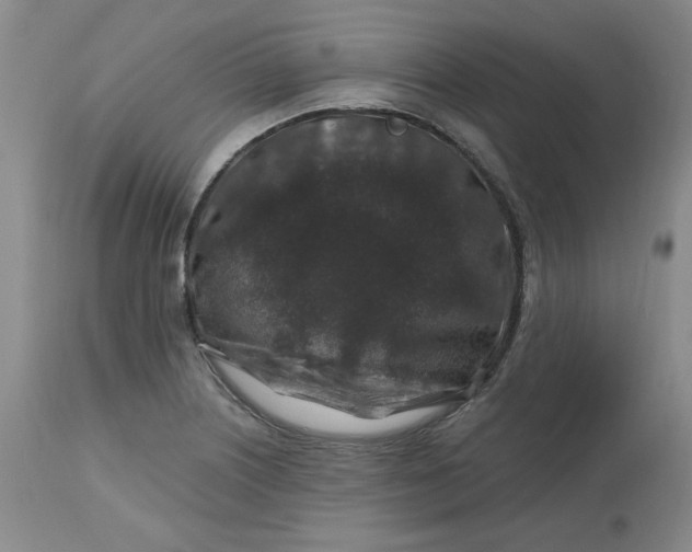 X0000112801226200909111228