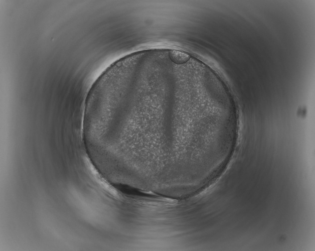 X0000112801228200909111228