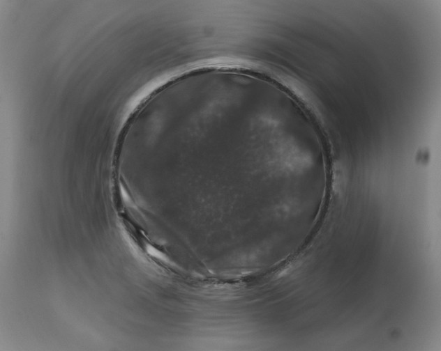 X0000112801229200909111228