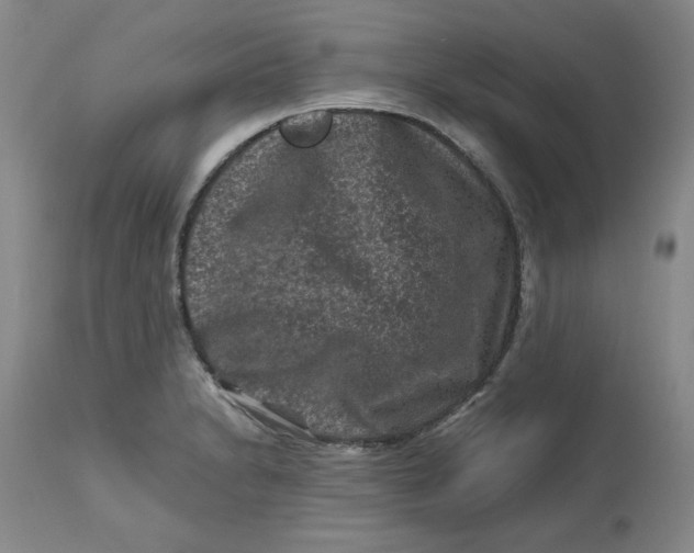 X0000112801230200909111228