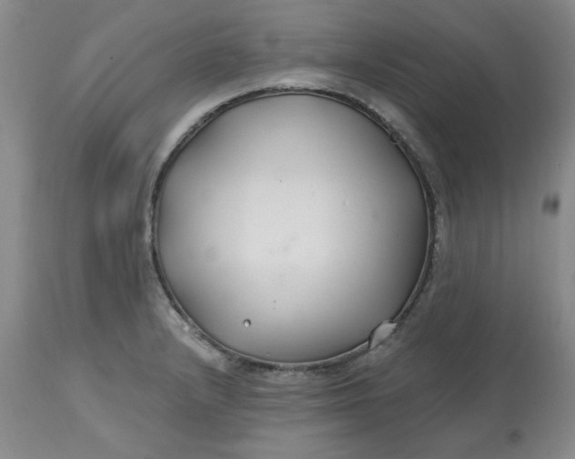 X0000112801232200909111228