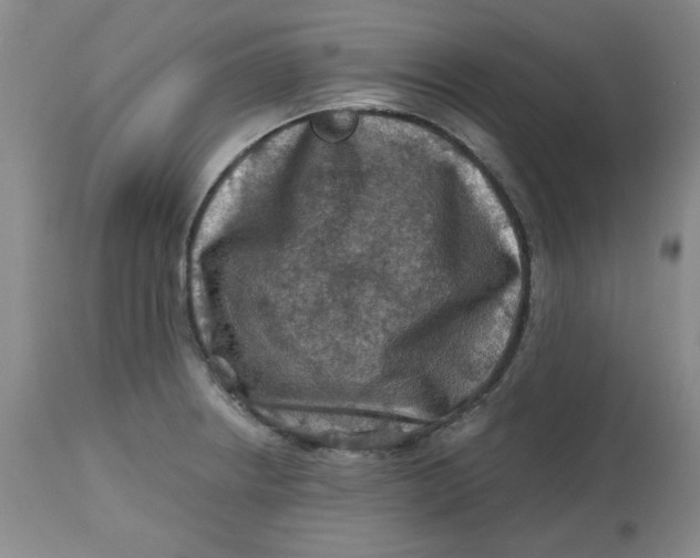 X0000112801234200909111228