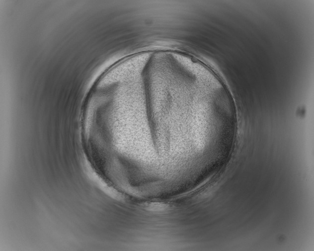 X0000112801235200909111228